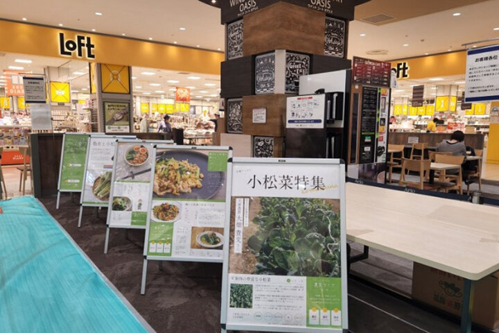【アリオ亀有】学びのSDGs「小松菜収穫体験」イベントを開催 イメージ